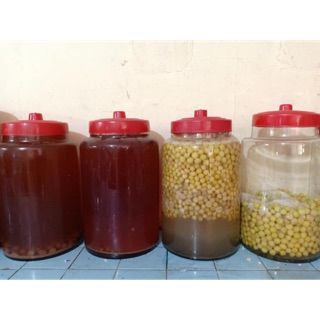 Nước ép chùm ruột nguyên chất (nhà trồng nhà làm)