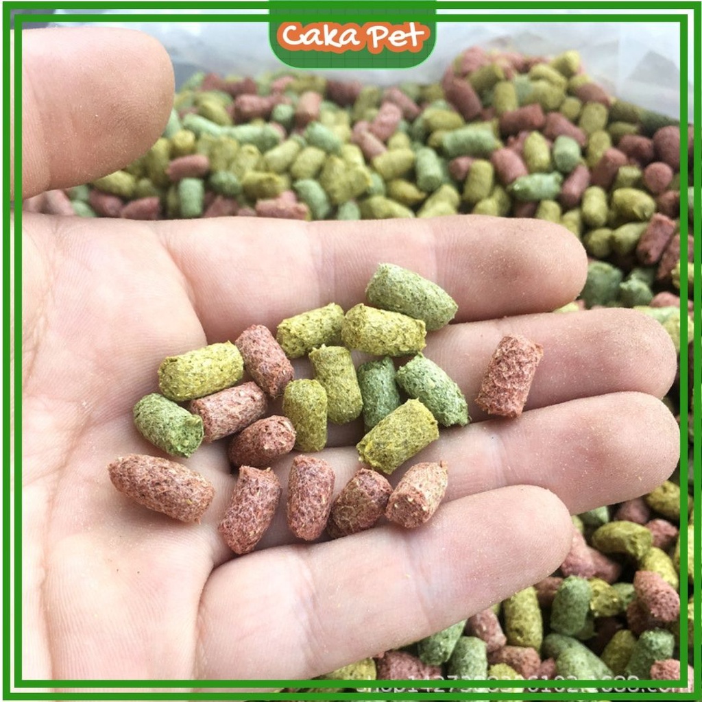 Snack thưởng mài răng cho hamster, chuột lang, thỏ ‍ 𝑩𝒂́𝒏𝒉 𝒅𝒂̣𝒚 𝒉𝒐̣𝒄 𝒄𝒉𝒐 𝒃𝒐𝒔𝒔 30-80g Có nhận sỉ