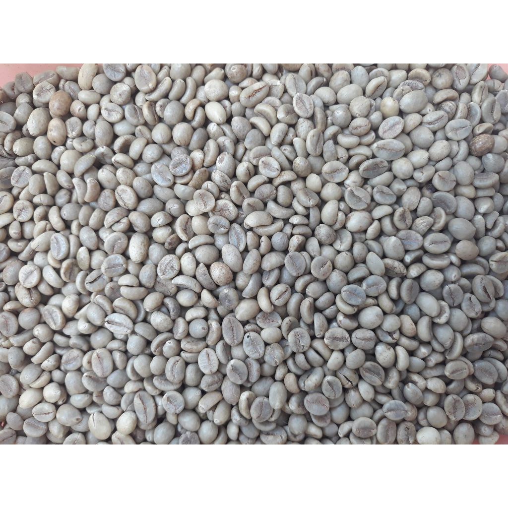 Cà phê nhân sống 1kg chưa rang Robusta Lâm Đồng (Sạch 100%) Vườn nhà