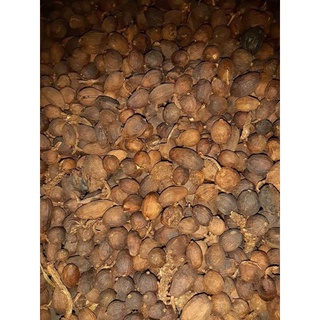 Thảo quả khô Hoàng Su Phì - Hà Giang 100g