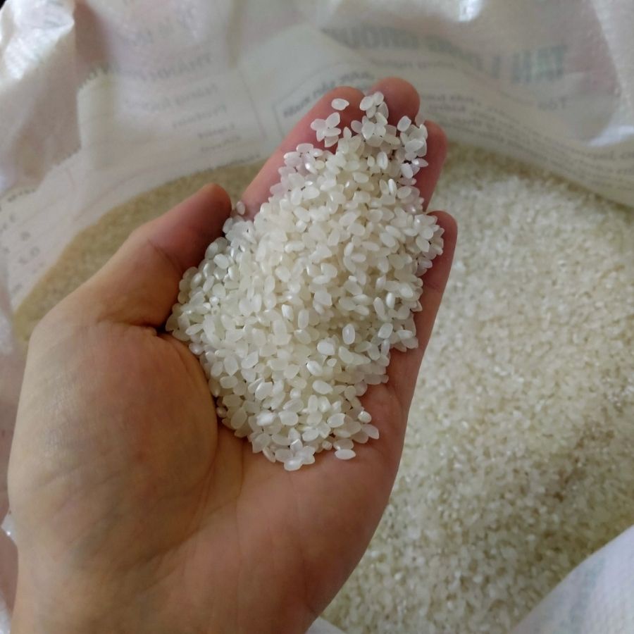 1Kg Gạo Nhật Japonica Dẻo Mềm Ngọt Cơm – Gạo Làm Sushi