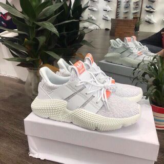 Giày thể thao prophere full màu full box