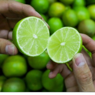 Chanh Xanh Không Hạt 500g,1kg