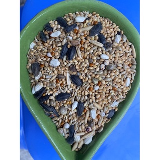 1kg Hạt cho lovebird, Cockatiel, parrotlet, các dòng vẹt nhỏ