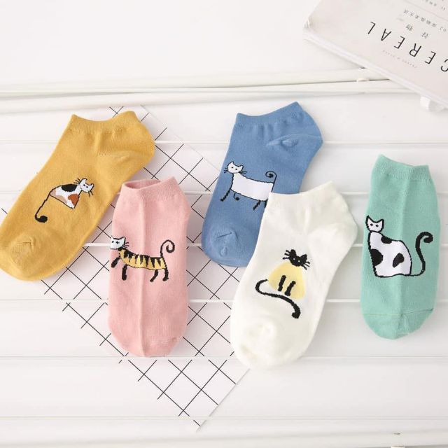 Tất mèo xinh 🐱🐈