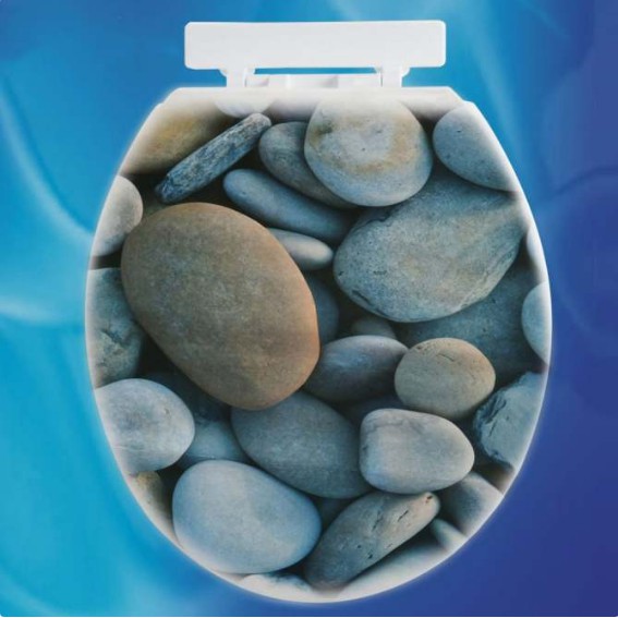 Decal trang trí Toilet cao cấp - Họa tiết Đá Sỏi A.H