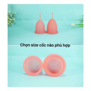 CỐC NGUYỆT SAN SI-BELL