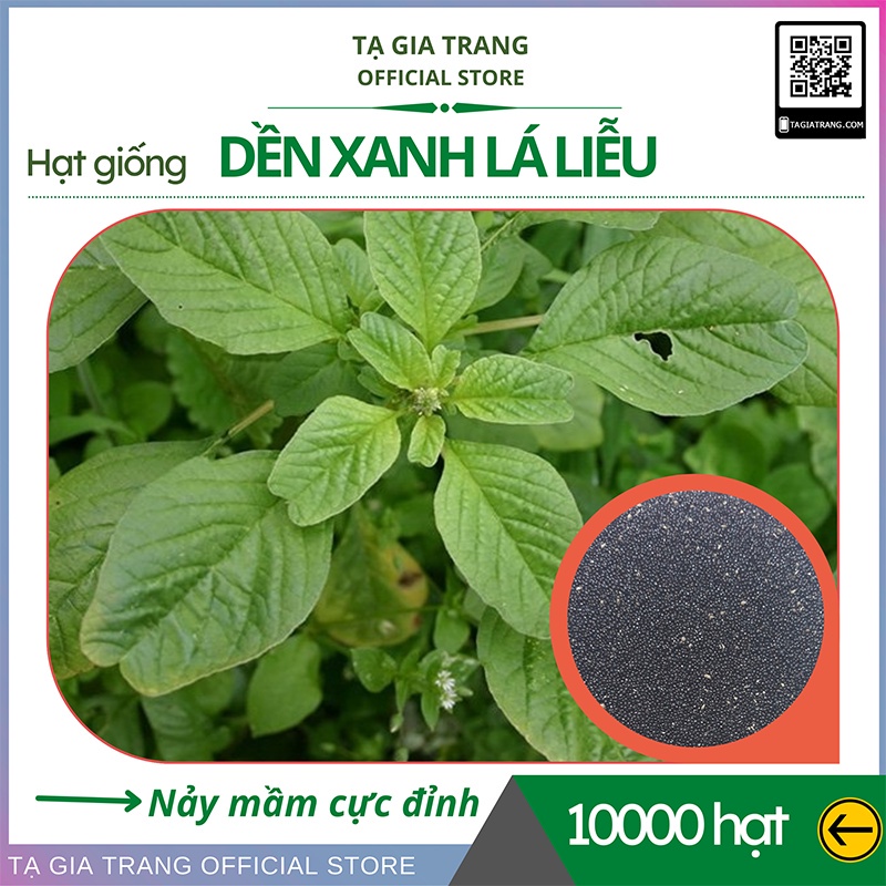 Hạt giống rau dền xanh lá liễu - Shop hạt giống Tạ Gia Trang | Gói 20g