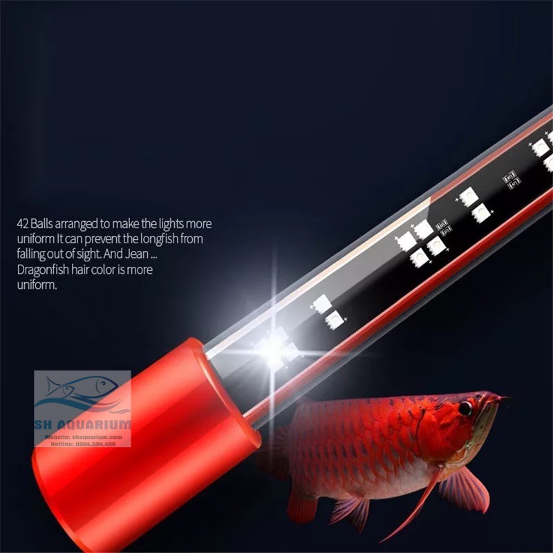 ĐÈN LED CÁ RỒNG MAYIN SUPER COLOUR PLUS 2 CHẾ ĐỘ CHUYÊN DỤNG CHO BỐI 112CM