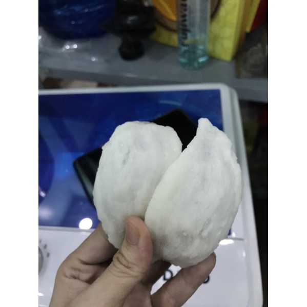 TỔ YẾN MÔ HÌNH DÙNG ĐỂ TRƯNG BÀY