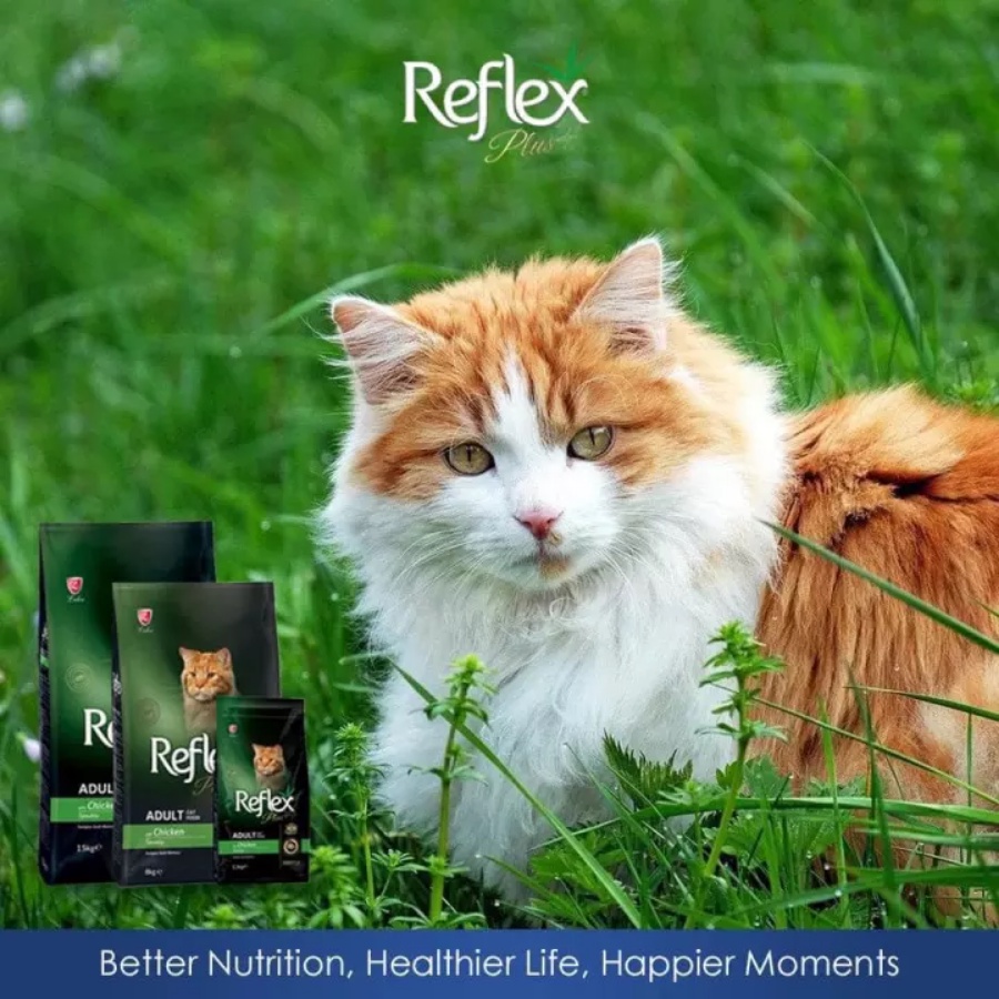 Hạt Reflex Plus Mèo Lớn Adult 1.5kg Vị Gà - Dinh Dưỡng Cao Cấp