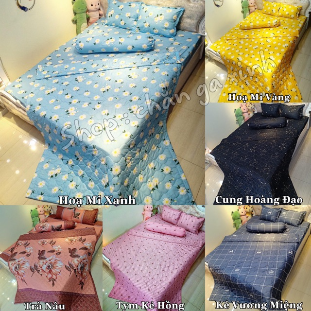 Bộ chăn hè ga gối tặng 1 vỏ gối ôm poly cotton set 5 món