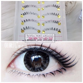 Mi dưới gân trong Tawan F14