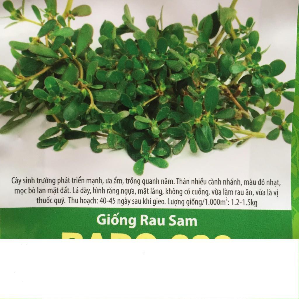 Hạt Giống Rau Sam 1gr
