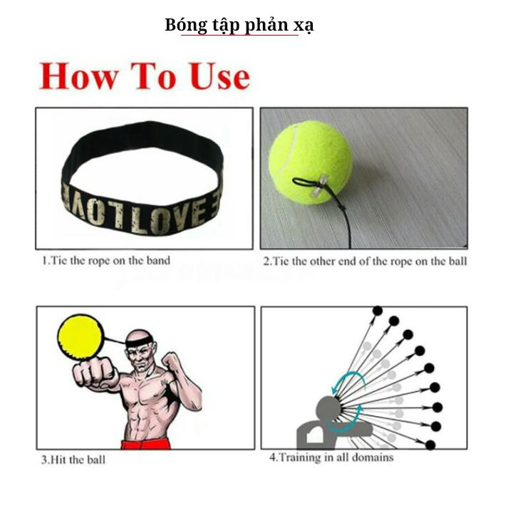 Bóng đấm boxing tập phản xạ treo đầu FX301