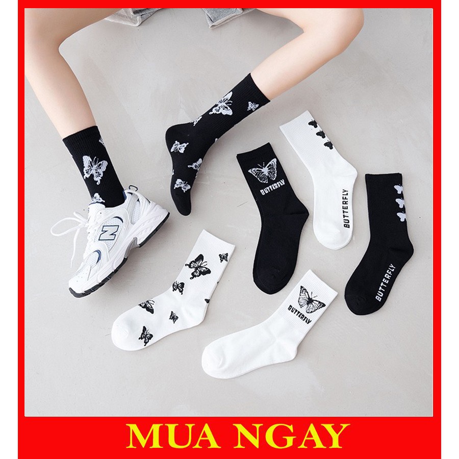 Tất nam nữ cổ cao vớ dài unisex in hình bướm cực đẹp TN38