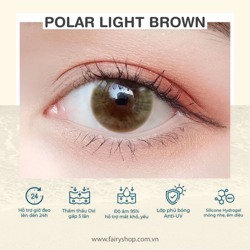 Kính Áp tròng Polar Brown 14.0mm PNB Brown - Kính Áp Tròng FAIRY SHOP CONTACT LENS độ cận 0 đến 8