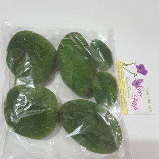 RÊU ĐÁ TRANG TRÍ (6 cục to nhỏ, mẫu tùy đợt hàng)
