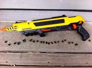 Súng Bắn Ruồi Bằng Muối