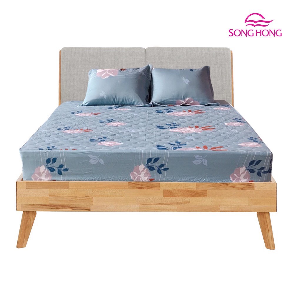 Bộ ga chun 150x190 có chần cotton Sông Hồng