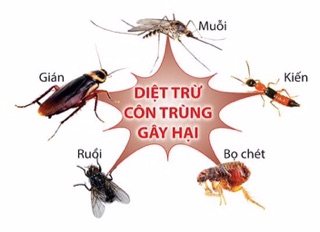 Xịt đuổi muỗi côn trùng