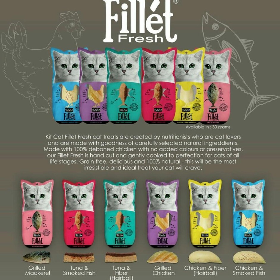 KITCAT FILLET FRESH snack Phi lê thịt , cá tươi CHO MÈO 30g