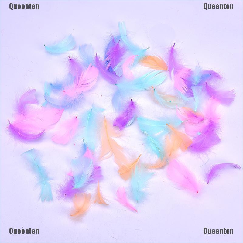 Bộ 100 Lông Vũ Nhiều Màu Sắc Dùng Làm Quà Tặng