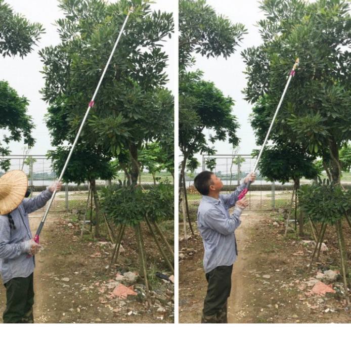 Kéo cắt cành hái hoa quả trên cao đa năng dài 4 mét