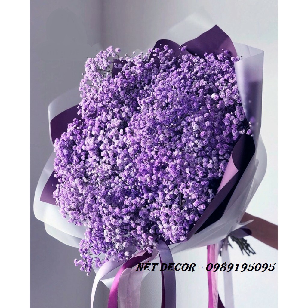 [FREESHIP] Bó hoa khô BABY'S BREATH Decor🌸Hoa Baby🌸 Trang trí