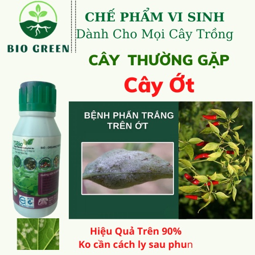 Phân bón hữu cơ vi sinh, chế phẩm sinh học vi sinh tsbio thuốc NẤM sinh học trị phấn trắng chai 1 lít