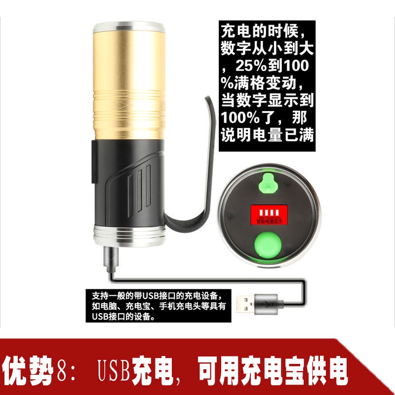 Đèn Pin Câu Cá Ban Đêm Công Suất Cao USB Ánh Sáng Xanh Tím Chống Nước