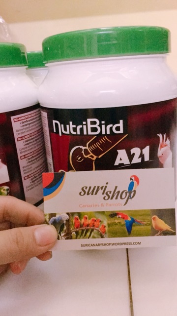 Bột A19/A21 hũ nguyên seal 800g cho chim vẹt