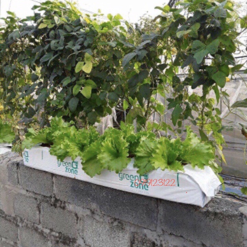 Túi trồng cây thông minh Grow Bag