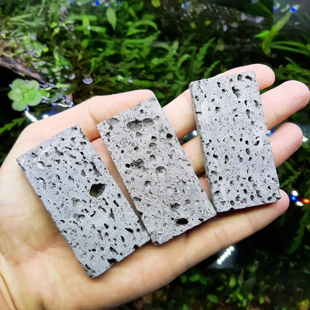 Nham Thạch Lát - namoPAD ☘ Giá Thể Ươm Ráy, Bucep Cực Tốt