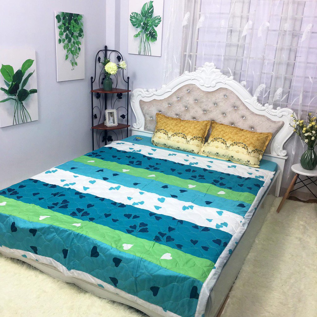 Sally Chăn hè trần bông vải cotton poly ( có hơn 100 mẫu mới )