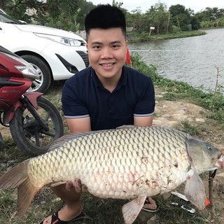 Thính Câu Cá Chép Siêu Tốc Độ