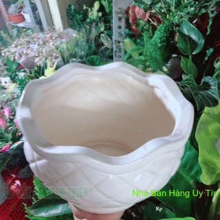 Chậu trồng cây cao 13, ngang 22cm