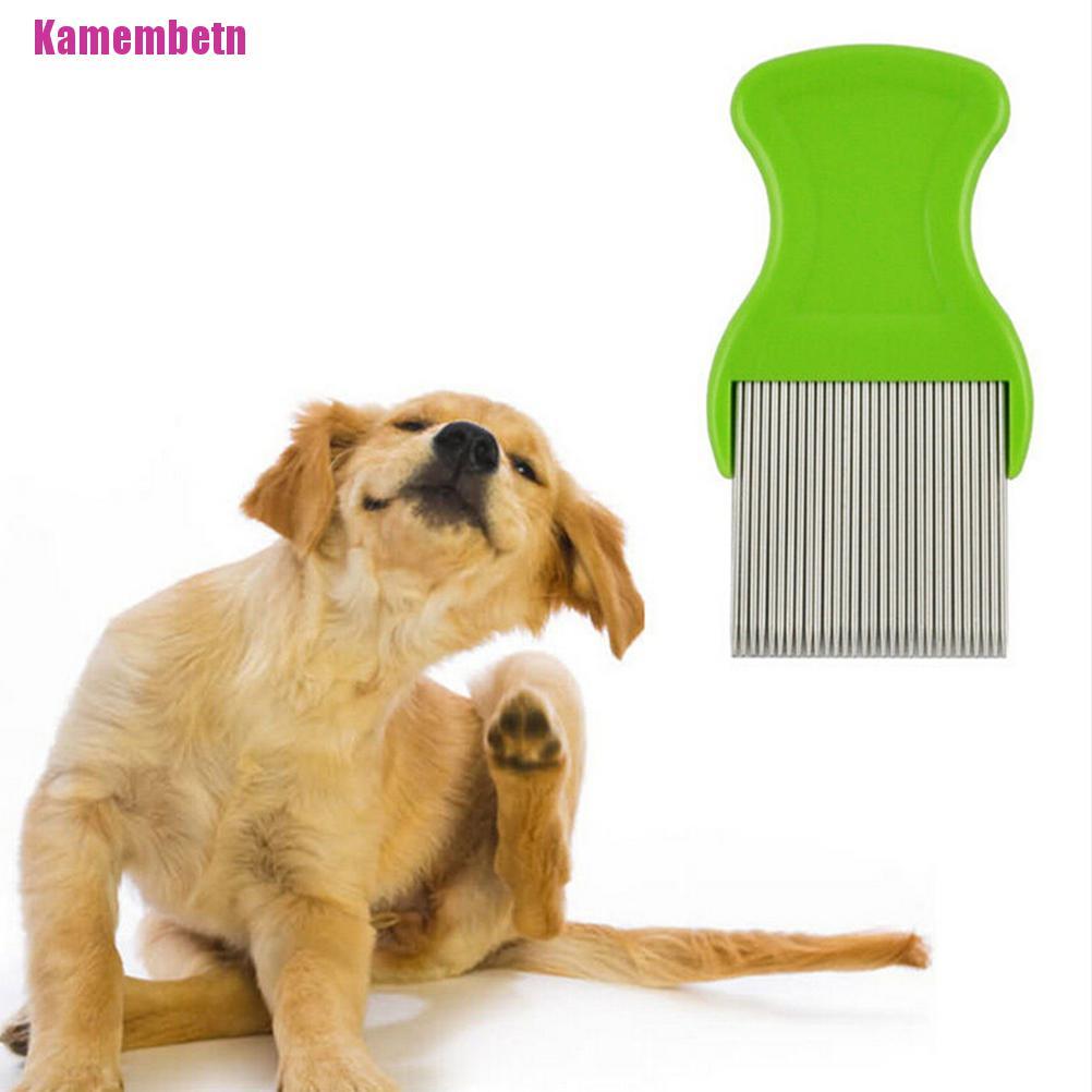 Lược Chải Tóc Anoplura Flea Bằng Thép Không Gỉ Cho Trẻ Em