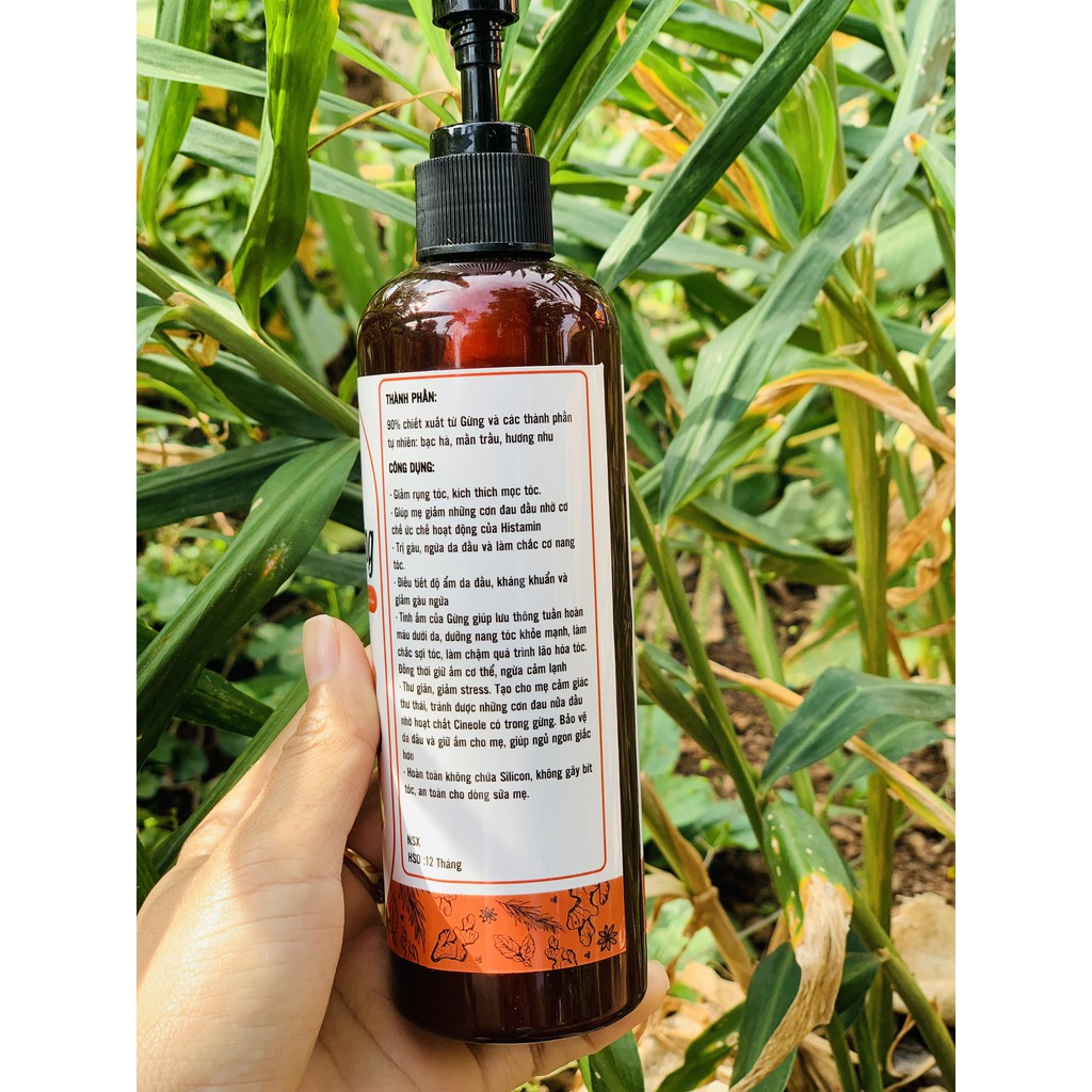 Dầu gội gừng tươi thảo mộc, Sạch Gàu giảm rụng tóc, sản phẩm Handmade, chai 500ml - Goss Việt | BigBuy360 - bigbuy360.vn