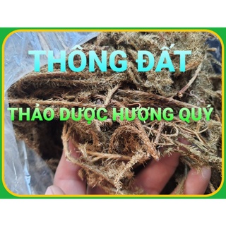 1 Kg Cây Thông Đất Khô, Sạch, Thơm