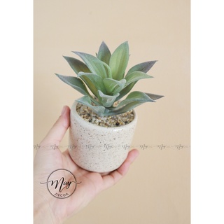 Cây giả,Sen đá giả kèm chậu sứ vân cát