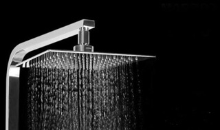 Sen Cây Inox 304 vuông