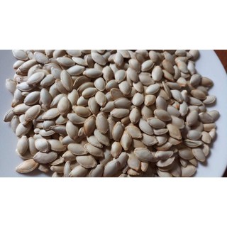 HẠT BÍ NGÔ RANG CHÍN 500g