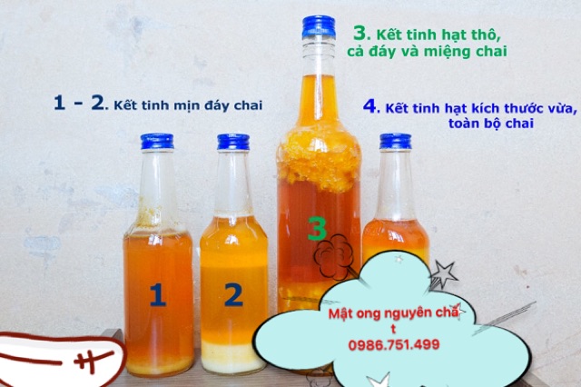 Mật ong rừng Tây Bắc | BigBuy360 - bigbuy360.vn