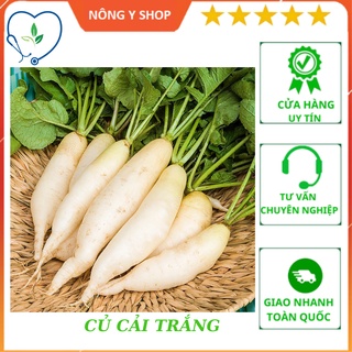 Hạt giống củ cải trắng củ to, năng suất cao rạng đông rado 107 - 20g