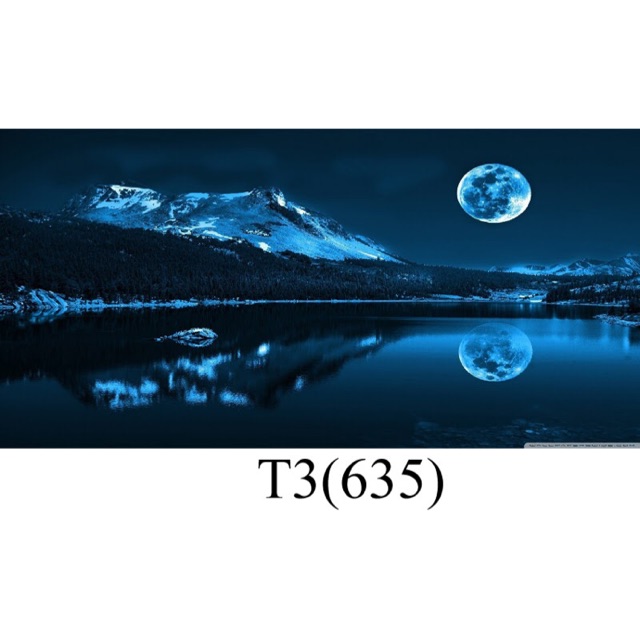 Tranh 3D hồ cá