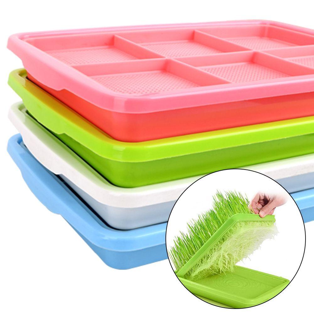 1 Khay Trồng Cây Mầm Tiện Dụng Chất Lượng Cao
