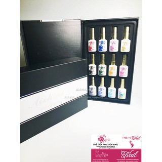 Sét Sơn Gel Loang Aishini ( Bộ 12 màu)