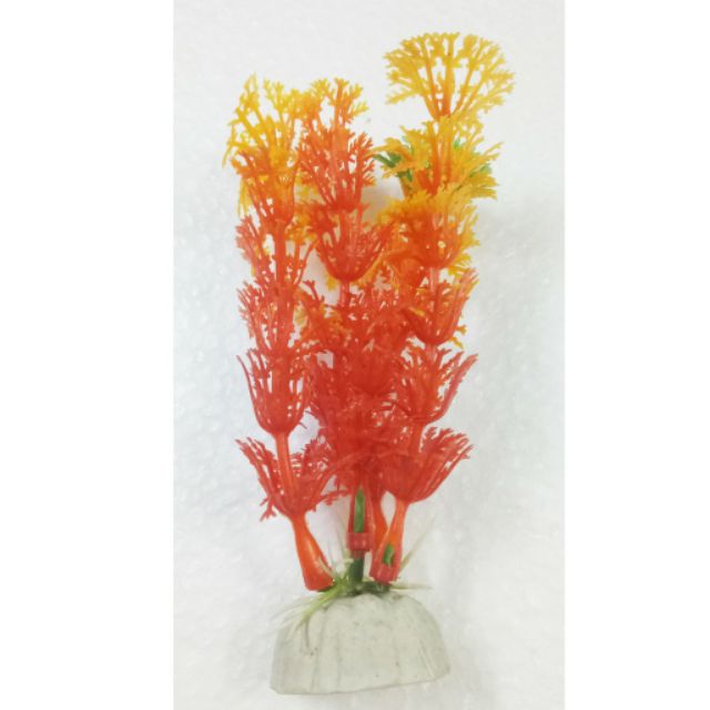 Cây Trang Trí Bể Cá hồ cá Size Mini (Khoảng 12cm x 5cm Mỗi Cây) - Đồ Trang Trí Hồ Cá
