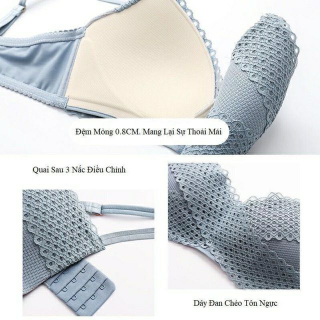 Áo Lót Sweer Girl Đệm Mỏng Không Gọng Mã 994